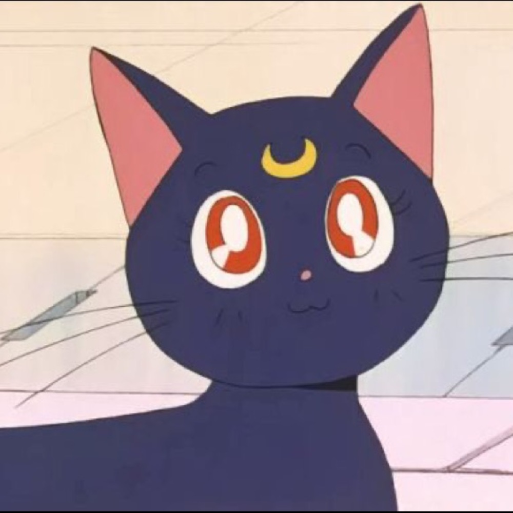 Meet your Posher, Christine